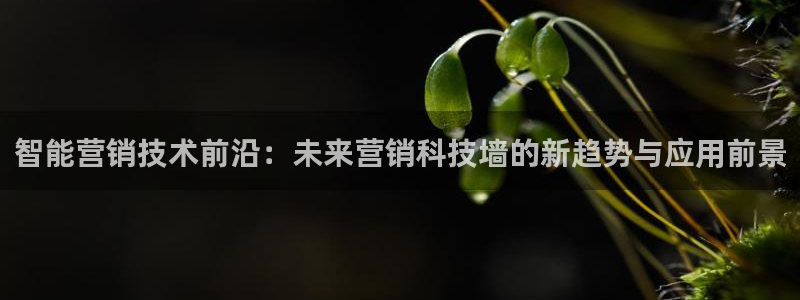 金年会官方入口app