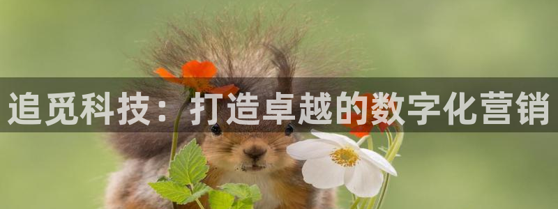 金年会体育出款审核七天