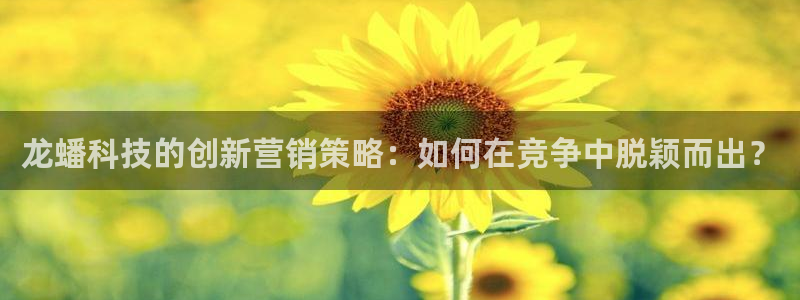 金年会平台真他妈坑人