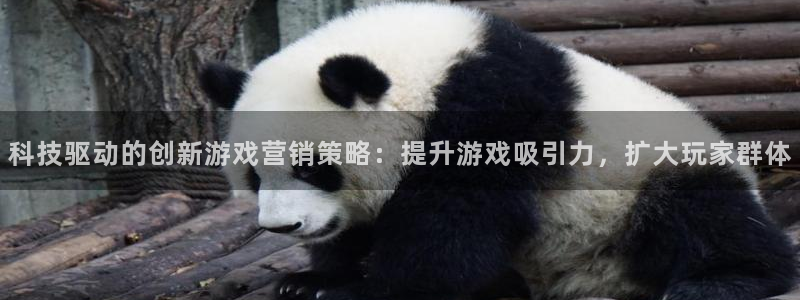 金年会诚信至上金字招