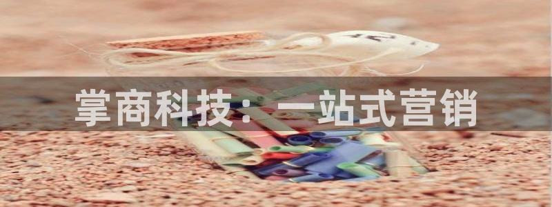 金年会电子游泳app