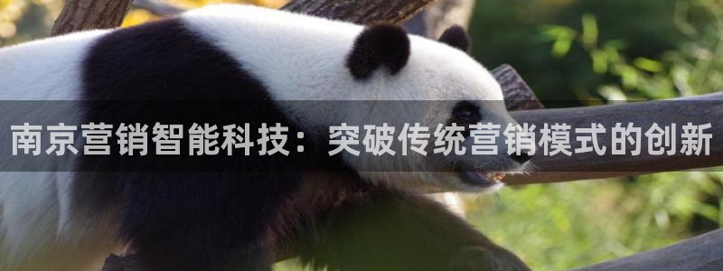金年会信誉至上是什么