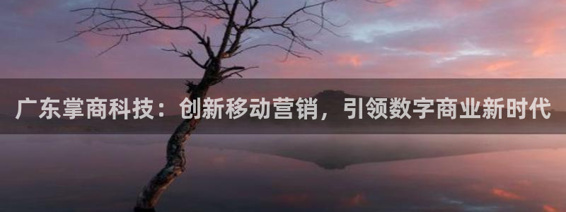 金年会体育平台新地址