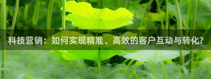 金年会赌博案