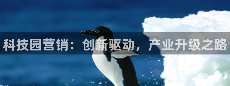 金年会电子游戏app官方网站