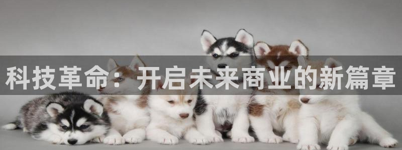 金年会体育官方微博