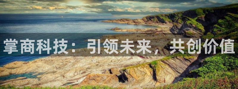 金年会ios版下载
