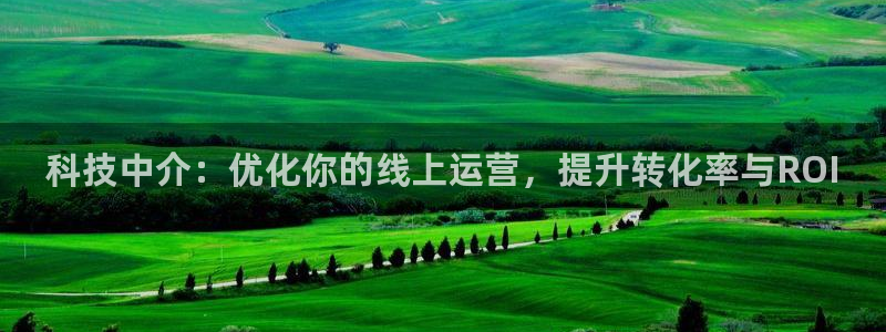金年会体育平台合法吗