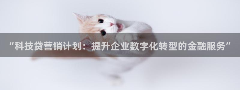金年会体育app下载官网苹果手机
