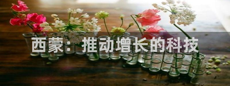 金年会官方在线入口网址大全