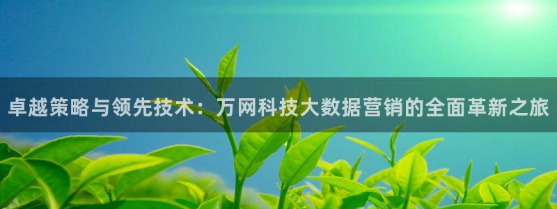 金年会网站多少