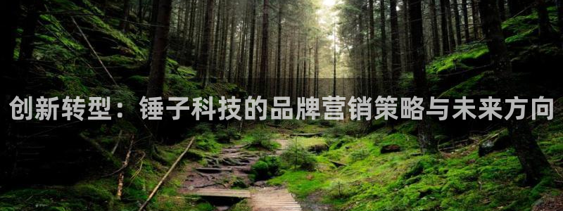 金年会赌博是诈骗