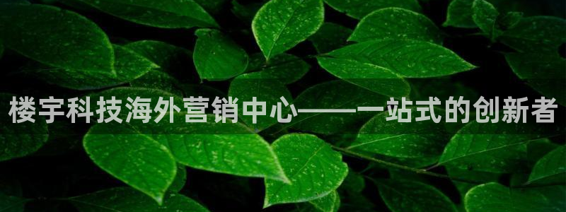 金年会信誉至上金字招牌