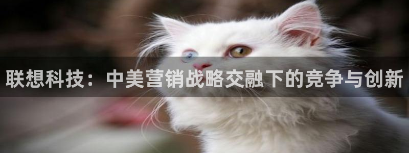 金年会体育平台官网app