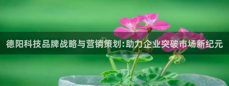 金年会体育电脑客户端登录