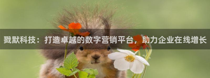 金年会网页版在线登录官网下载