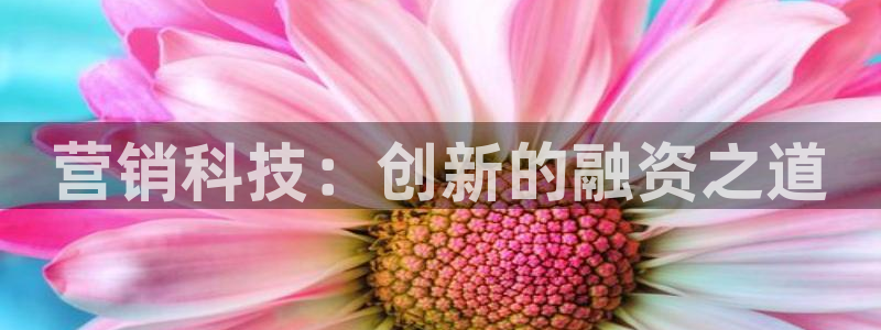 金年会官方网站登录