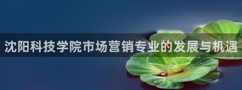 金年会体育电脑客户端登录