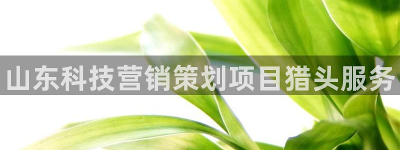 金年会官方网站登录网址是多少