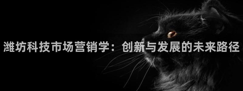 金年会app下载官网登录