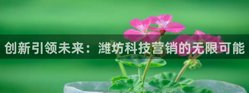 金年会体育官网登录入口