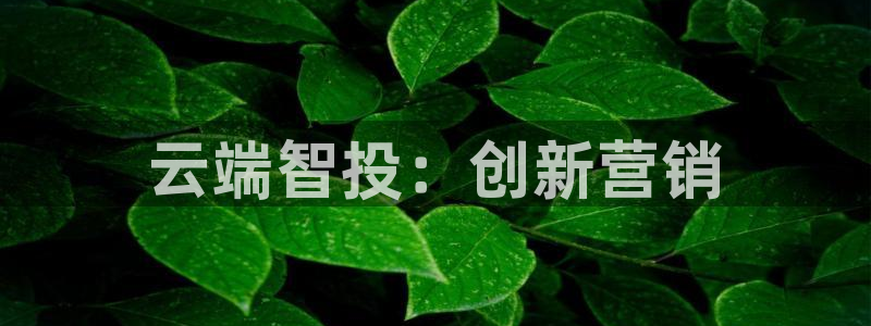 金年会今年会官方在线登录