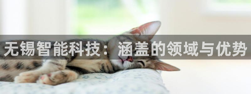 金年会官方网站入口登录