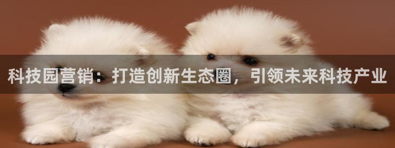 金年会信誉至上金字招牌