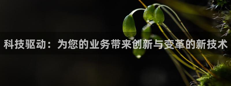 金年会电子游戏app官方网站