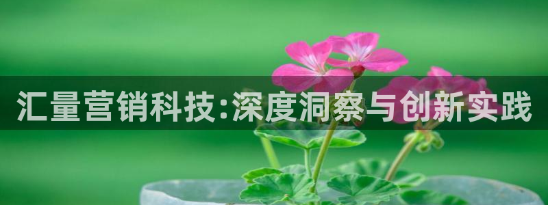 金年会官方网站首页入口