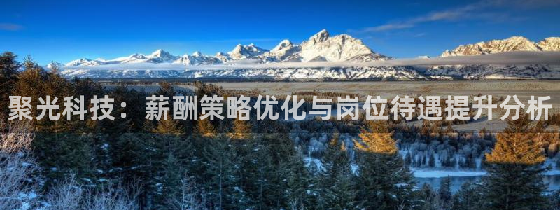 金年会网站事件后果