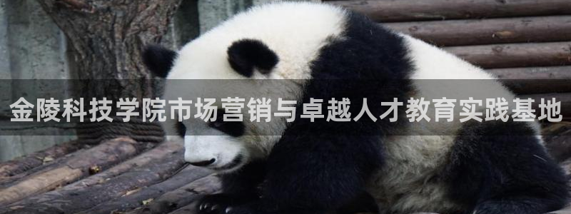 金年会官方平台