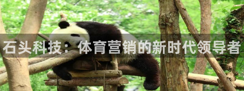 金年会vip打开网络异常怎么办