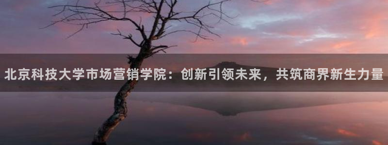 金年会电子游戏app官方入口网站