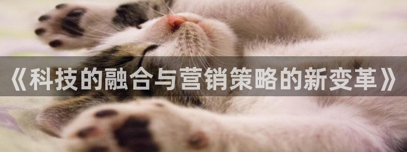 金年会体育信誉怎么样