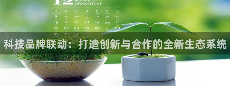 金年会网站提现一直显示审核当中怎么办