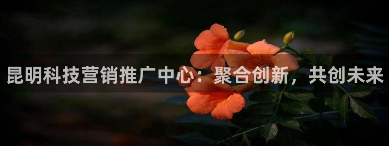 金年会官方体育登陆入口